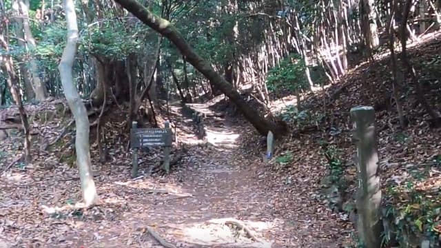 香川県高松市の讃岐遍路道（根香寺道）