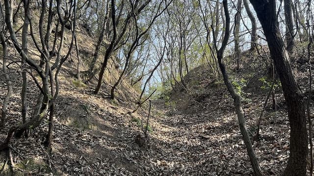 香川県丸亀市の笠島城跡