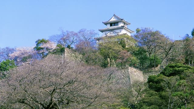 香川県丸亀市の丸亀城