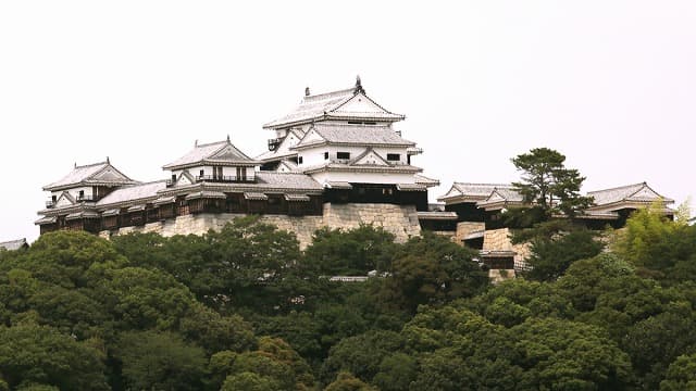 愛媛県の松山城