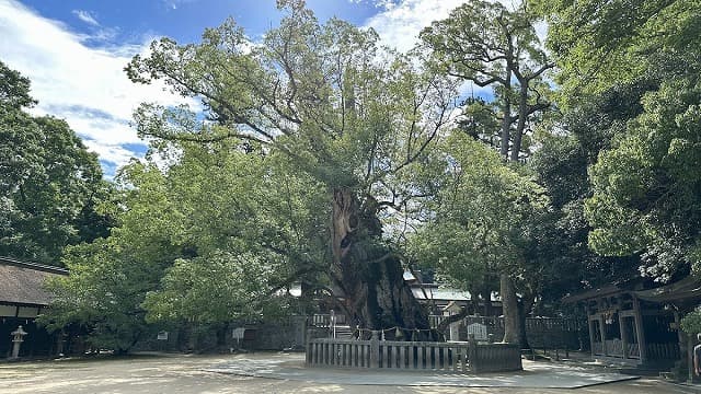 愛媛県今治市の大三島