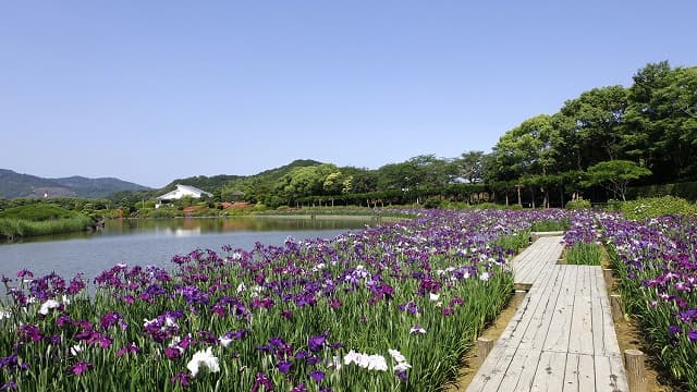 愛媛県宇和島市の南楽園