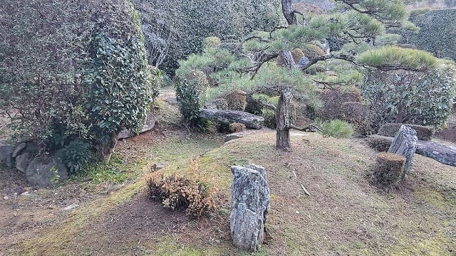 愛媛県宇和島市の西江寺庭園