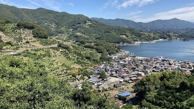 愛媛県西予市の宇和海狩浜の段畑と農漁村景観