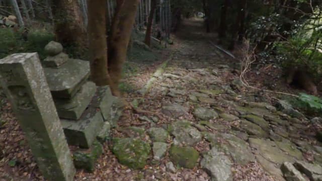 高知県高知市の土佐遍路道（禅師峰寺道）