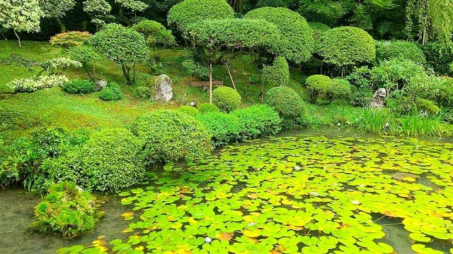 高知県高岡郡の乗台寺庭園