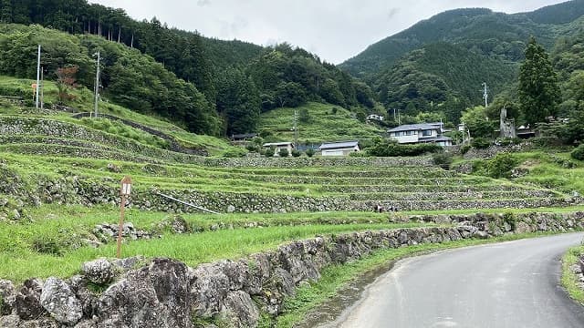 高知県高岡郡の四万十川流域の文化的景観　上流域の山村と棚田