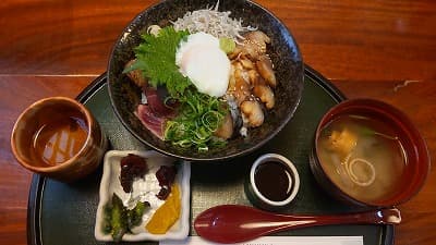 土佐海鮮三色丼