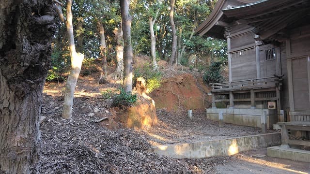 福岡市の今宿古墳群（若八幡宮古墳）