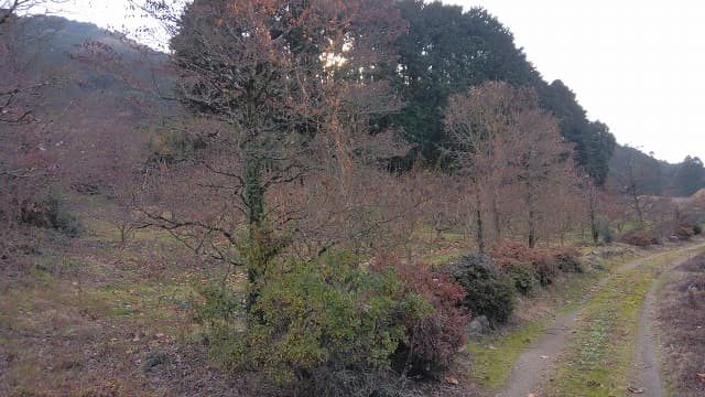 久留米市の田主丸古墳群（西館古墳）