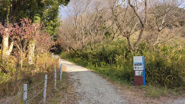 福岡県小郡市の三沢遺跡