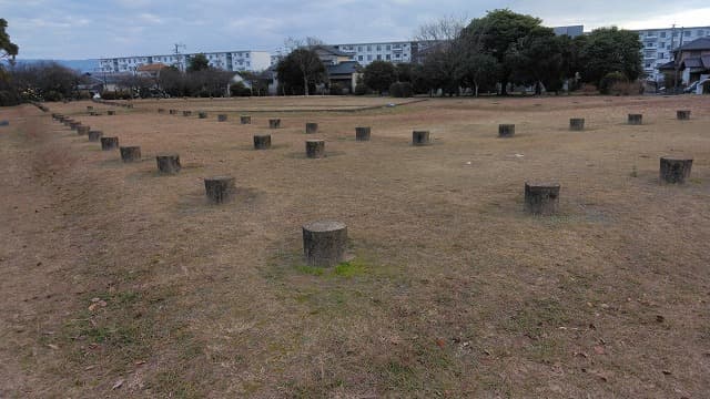 福岡県小郡市の小郡官衙遺跡群（小郡官衙遺跡）