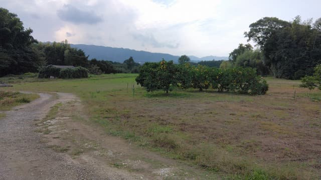 福岡県那珂川市の安徳台遺跡