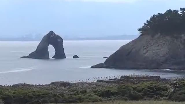 福岡県糟屋郡の鼻栗瀬および鼻面半島