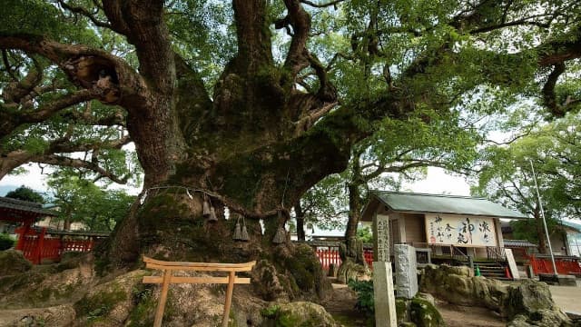 福岡県糟屋郡の宇美八幡宮