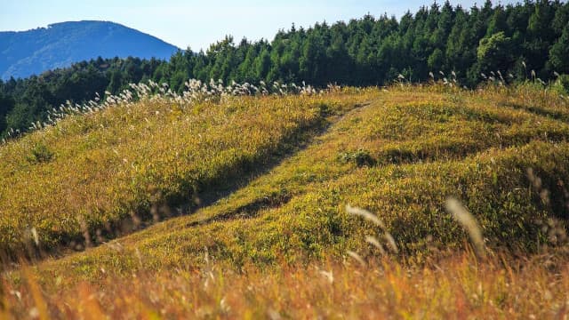 福岡県朝倉郡の夜須高原