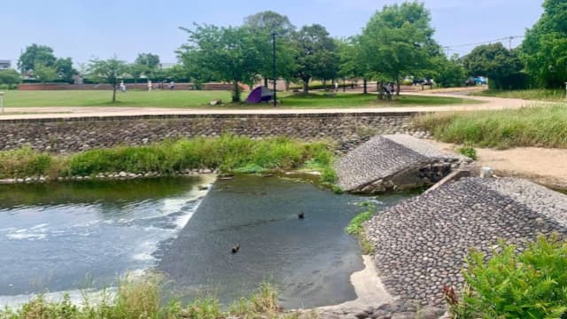 福岡県三井郡の大刀洗公園