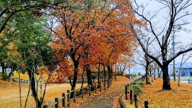 福岡県八女郡の竜光寺公園