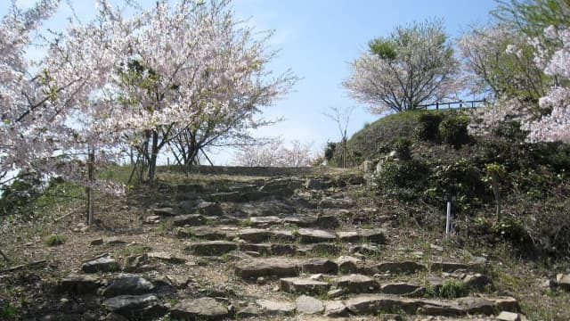 福岡県京都郡の豊前松山城