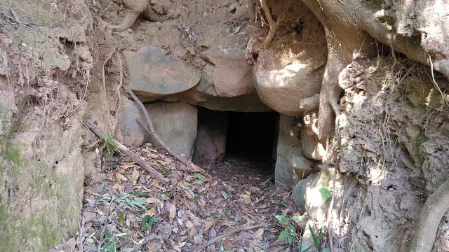 福岡県築上郡の穴ヶ葉山古墳