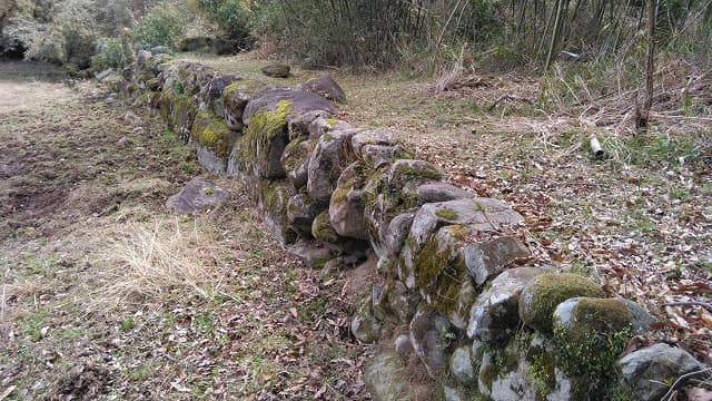 福岡県築上郡の唐原山城跡