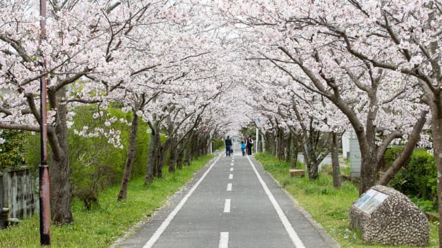 佐賀市の徐福サイクルロード