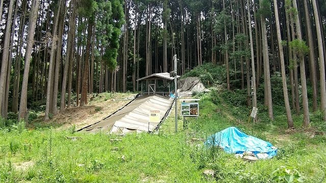 佐賀県唐津市の岸岳古窯跡(道納屋窯跡)