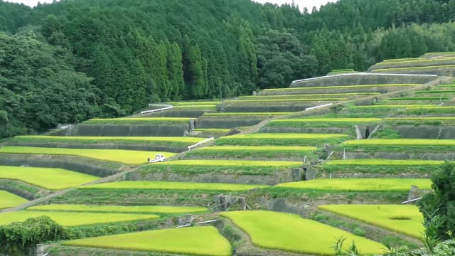 佐賀県多久市の西山地区棚田