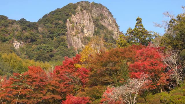 佐賀県武雄市の旧武雄邑主鍋島氏別邸庭園（御船山楽園）