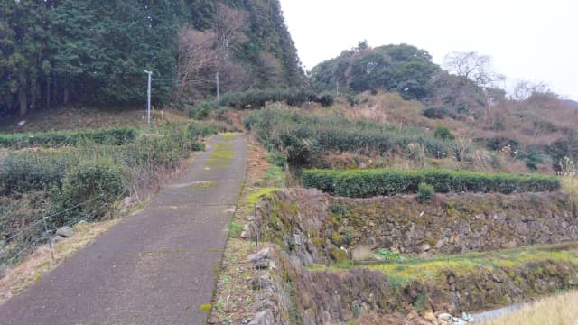 佐賀県嬉野市の肥前磁器窯跡（不動山窯跡）