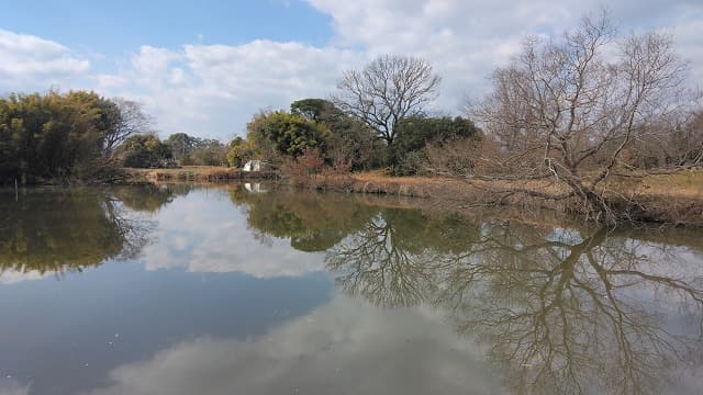 佐賀県神埼市の姉川城跡