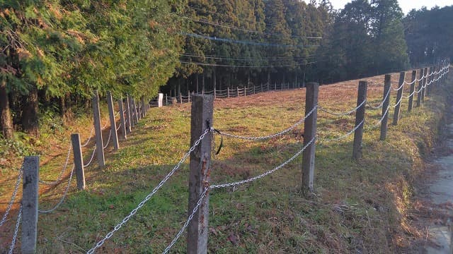 諫早市の川頭遺跡