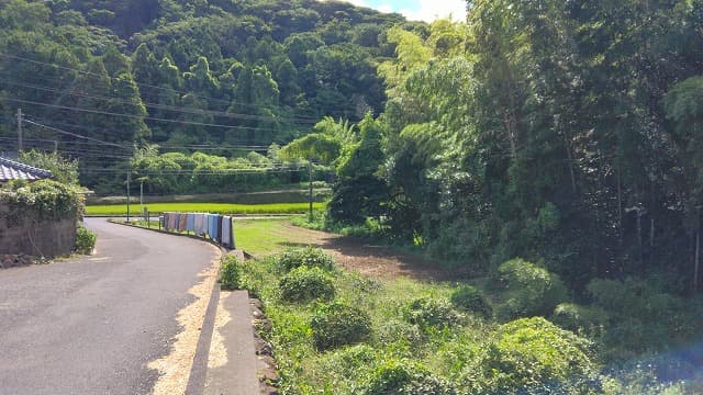 長崎県平戸市の冨春庵茶畑跡