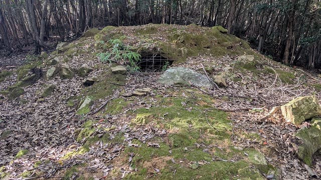 長崎県対馬市のサイノヤマ古墳