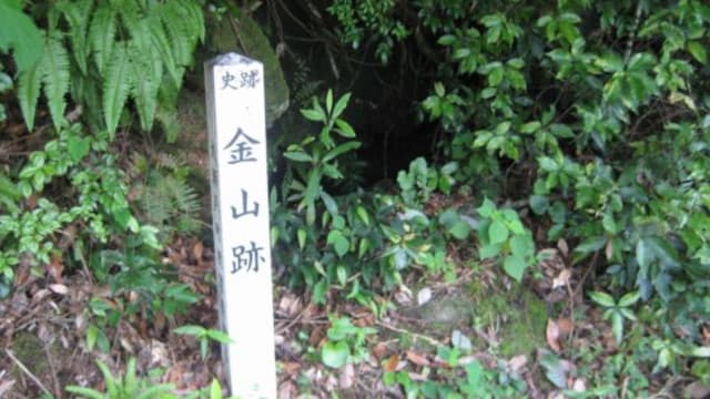 長崎県西海市の大串金山