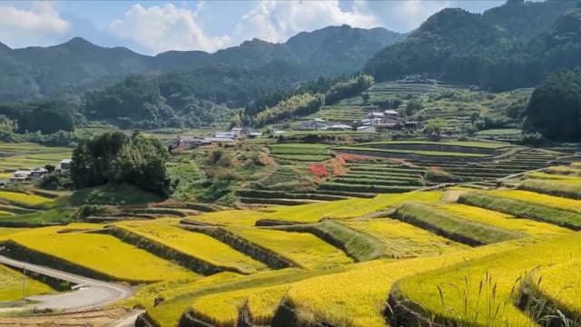 長崎県東彼杵郡の鬼木棚田