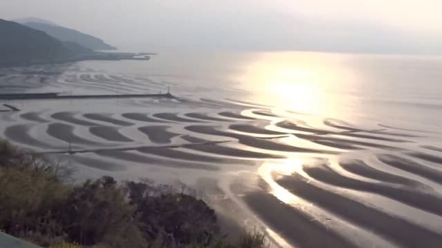 熊本県宇土市の宇土半島の御輿来海岸及びその周辺の砂紋