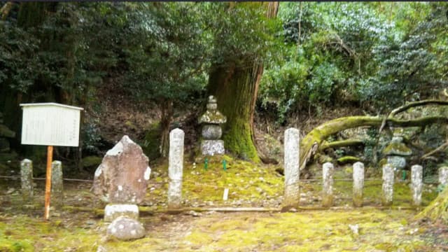 熊本県阿蘇郡の満願寺石塔群付杉群