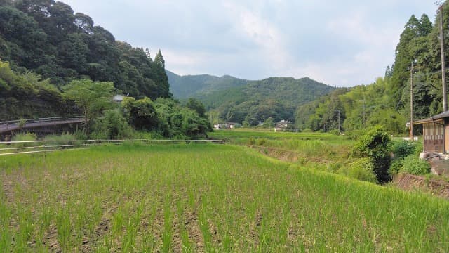 熊本県球磨郡の景色