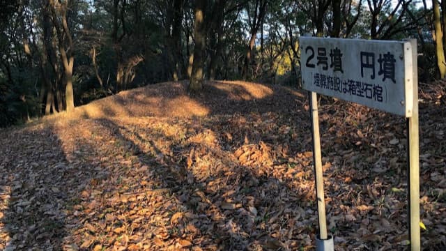 大分市の小牧山古墳群