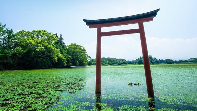 大分県中津市の三角池と薦神社