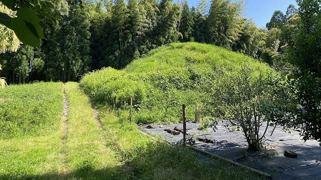大分県日田市の朝日天神山古墳