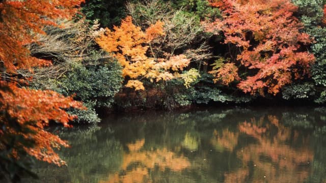 大分県臼杵市の白馬渓