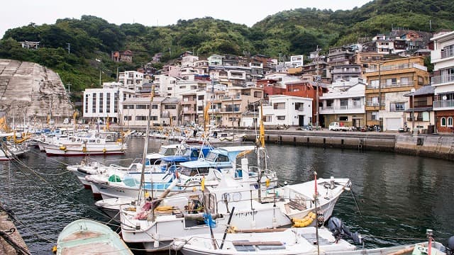 大分県津久見市の保戸島