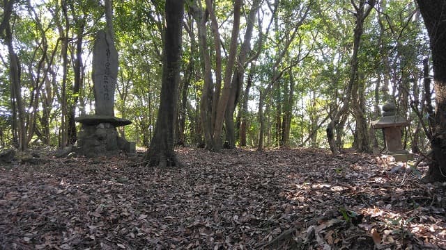 大分県豊後高田市の入津原丸山古墳