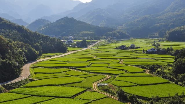 大分県豊後高田市の田染荘小崎の農村景観