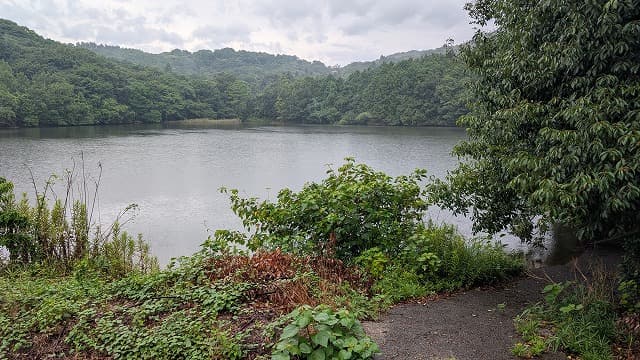 大分県杵築市の七双子古墳