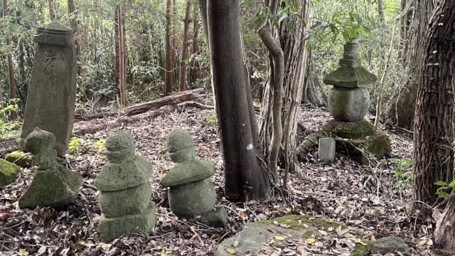 大分県杵築市の財前家墓地