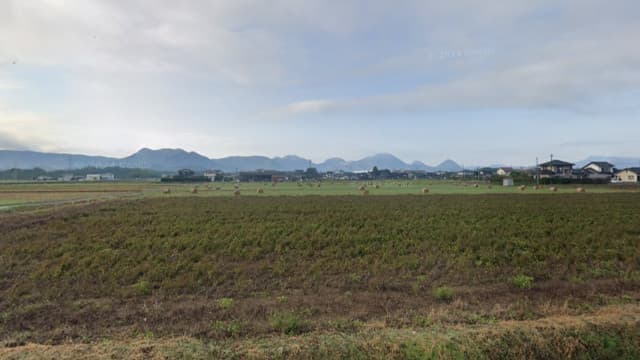 大分県宇佐市の野口遺跡