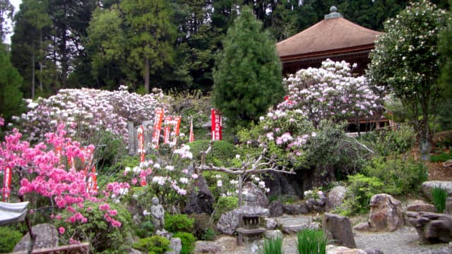 大分県豊後大野市の神角寺